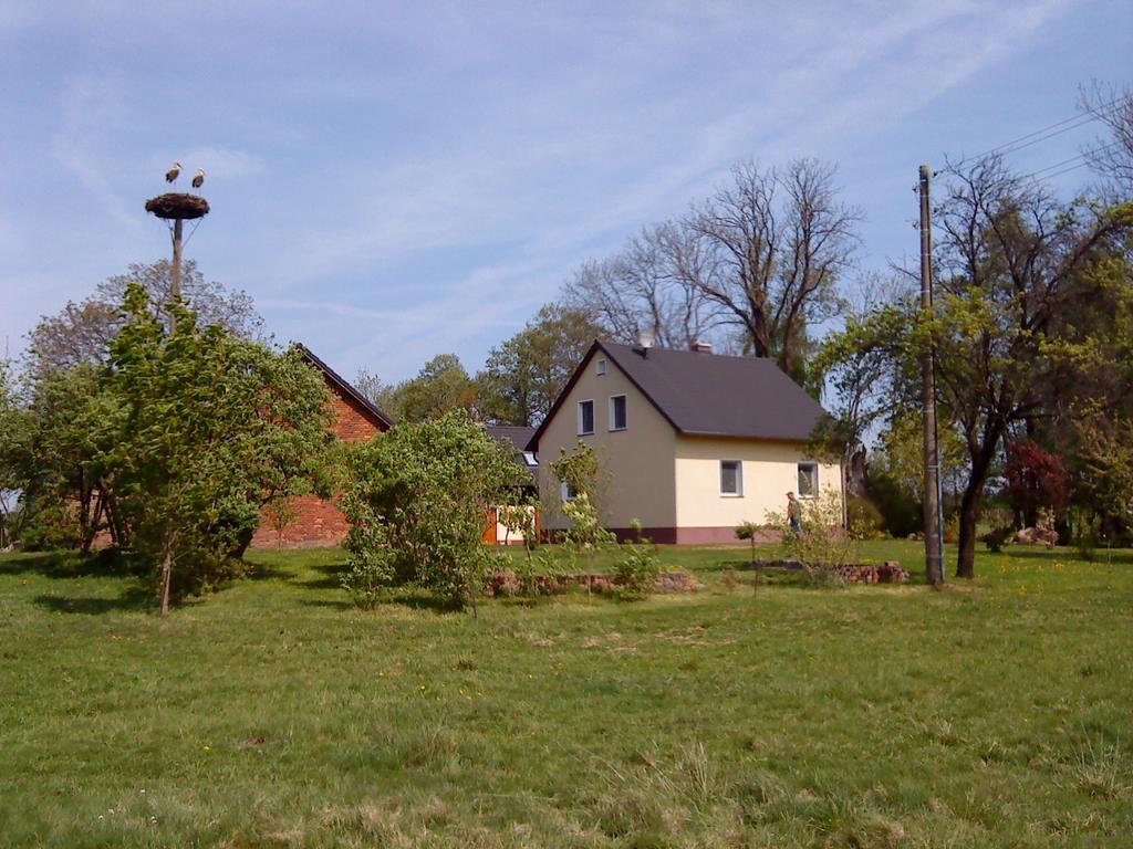 Schmogrow Ferienwohnung Am Storchennest מראה חיצוני תמונה